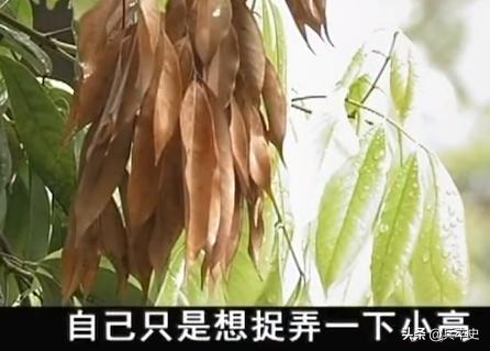 福建少年喝矿泉水变哑巴,2015年14岁小伙喝水变哑巴