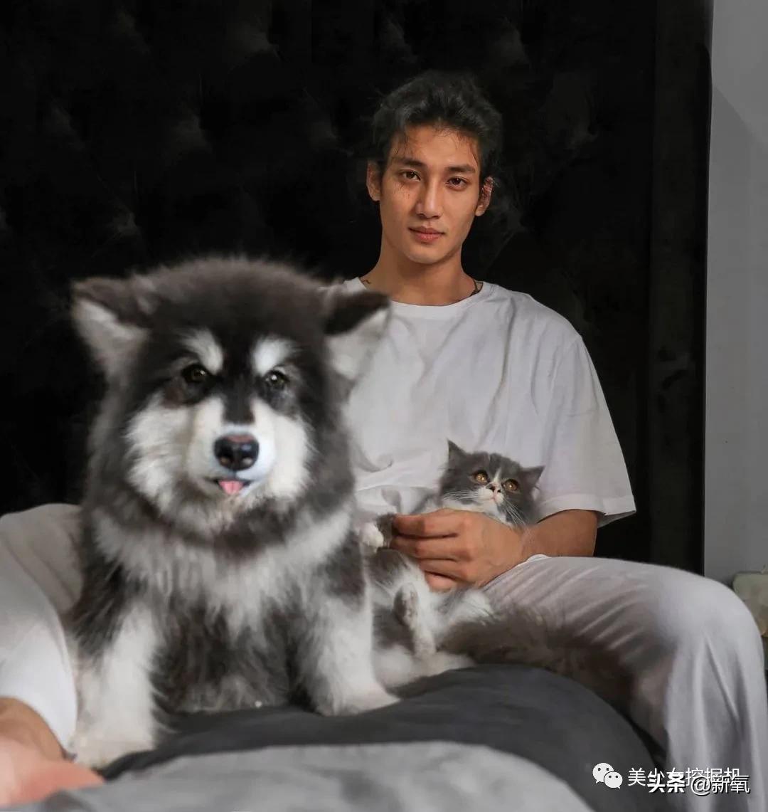 外媒评十大最帅面孔,2024年全球公认最帅面孔