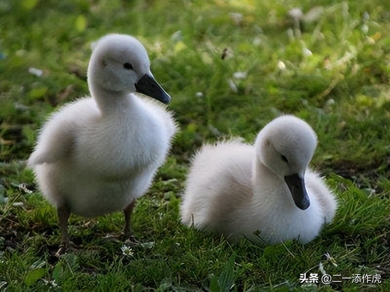 从男生变女生需要多少钱,从男人变女人需要多少钱