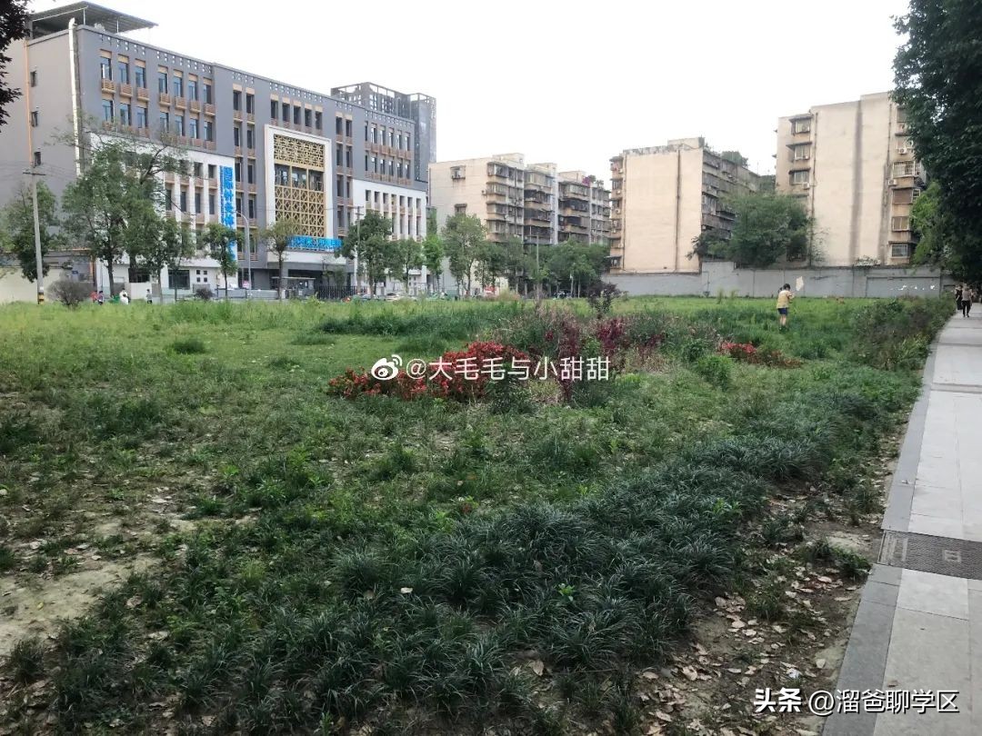 一校三区→一校五区？从不设分校的“金花学校”要爆发？