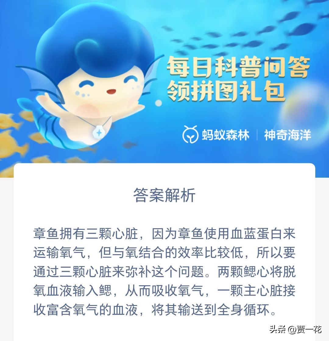蚂蚁庄园神奇海洋什么时候刷新,7月9日蚂蚁庄园答案汇总