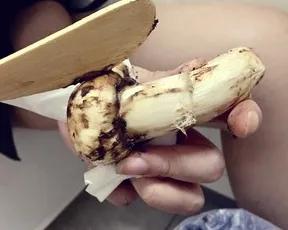 松茸美味不可抵挡,松茸独一无二