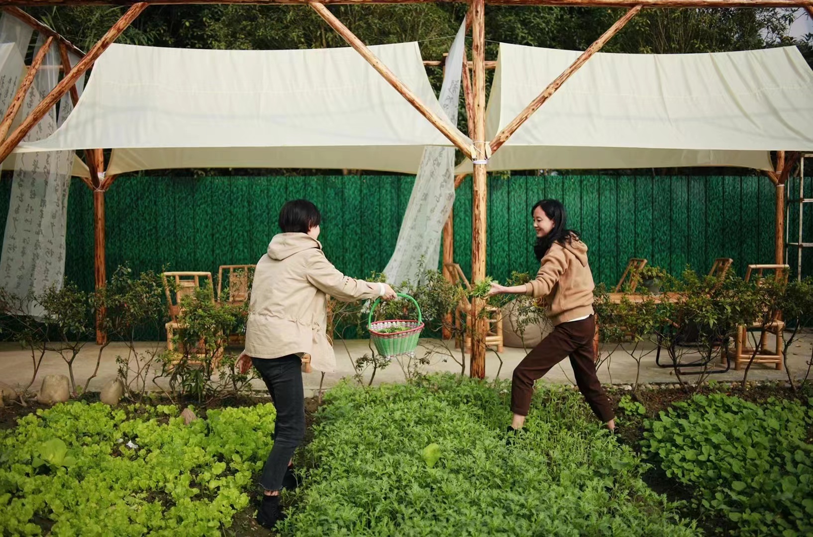 半年客流量飙升10倍探访乡村咖啡店的流量密码