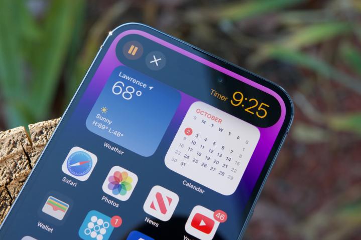 受疫情影响苹果烂掉了,受疫情影响苹果损失惨重