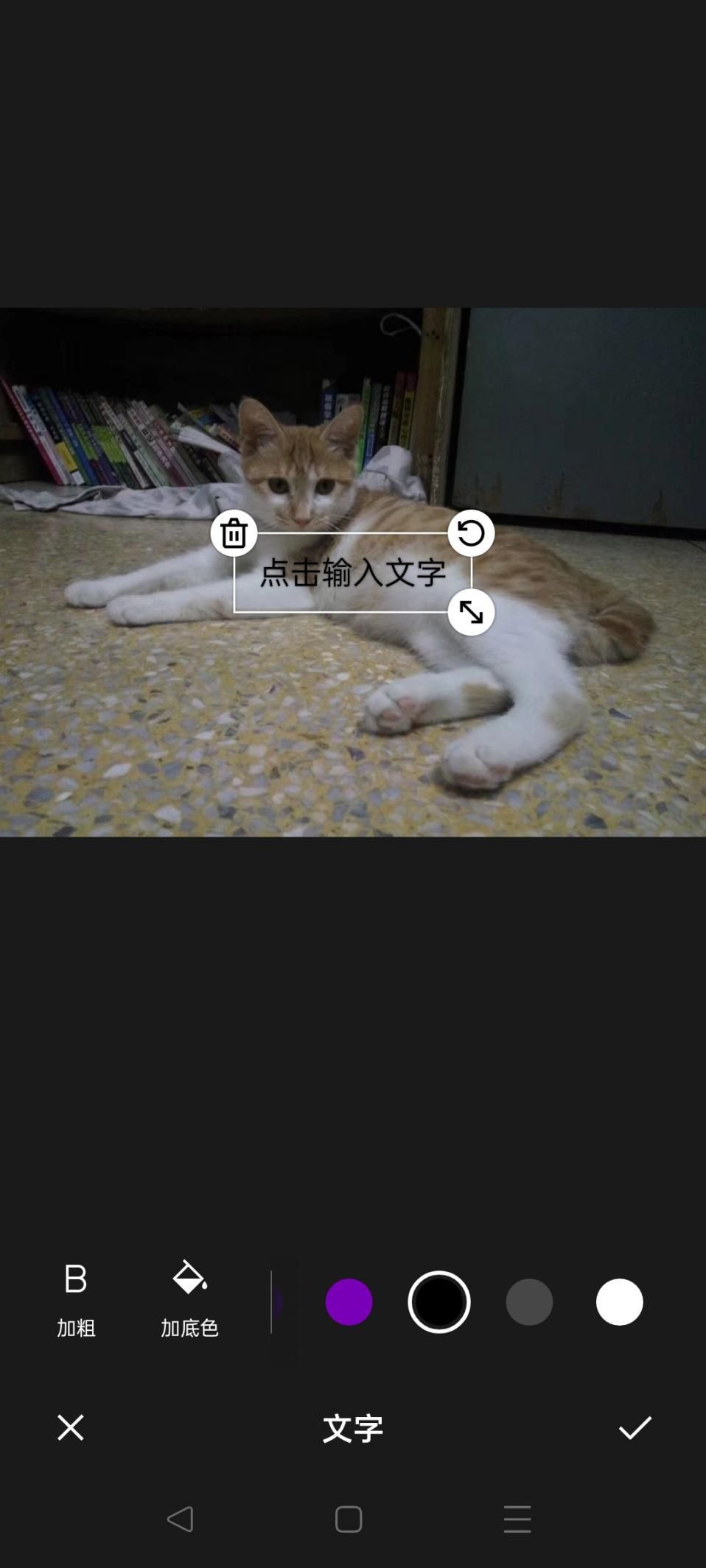 拍照片加水印哪个app最好,图片加水印app哪个好用