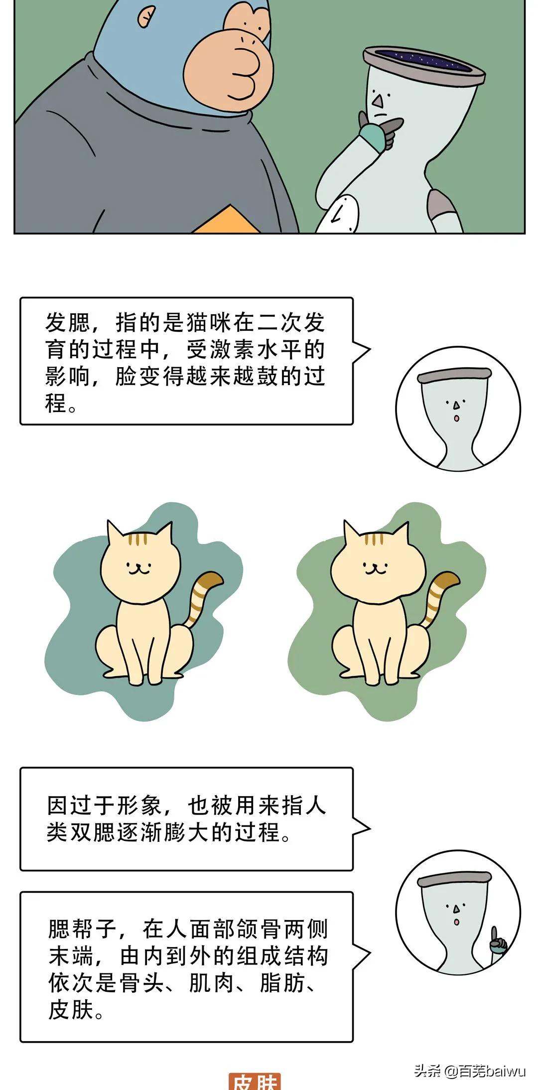 越大脸越方的原因,为什么年纪越大脸越方了