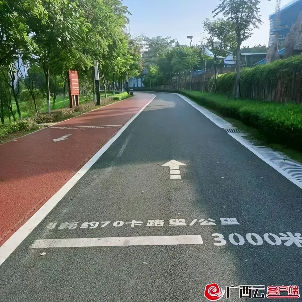 全区体育工作汇报,2022年广西体育综合成绩