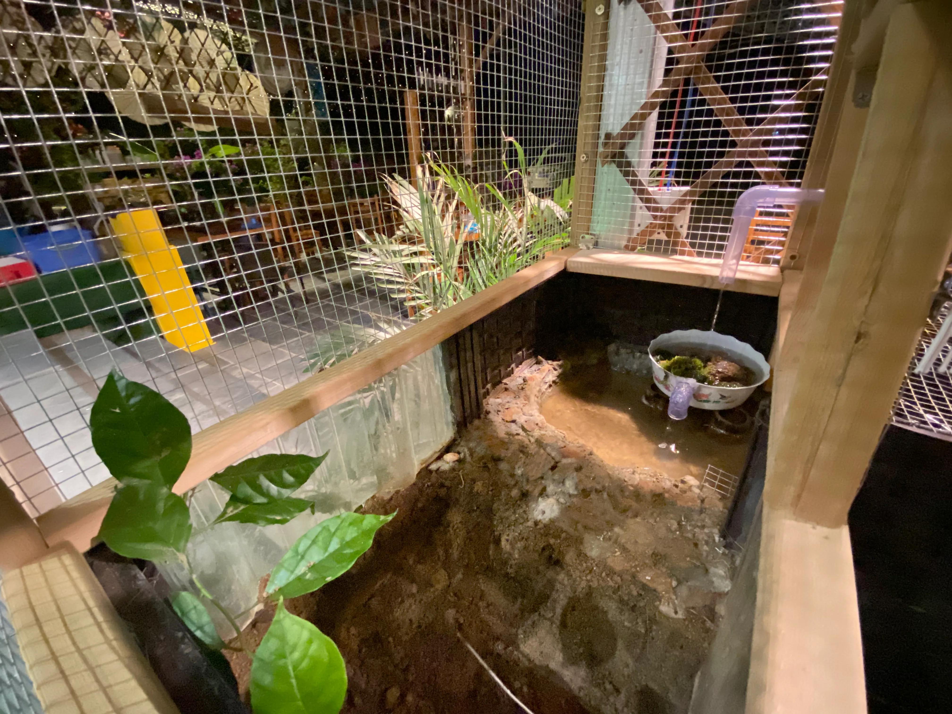 生态八哥鸟笼水循环制作过程,生态画眉鸟鸟笼制作全过程