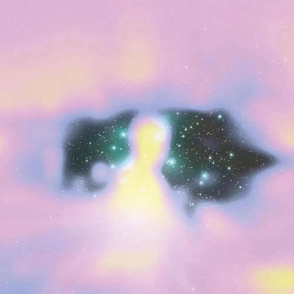 朋友圈背景送给大家,朋友圈背景送你一朵花