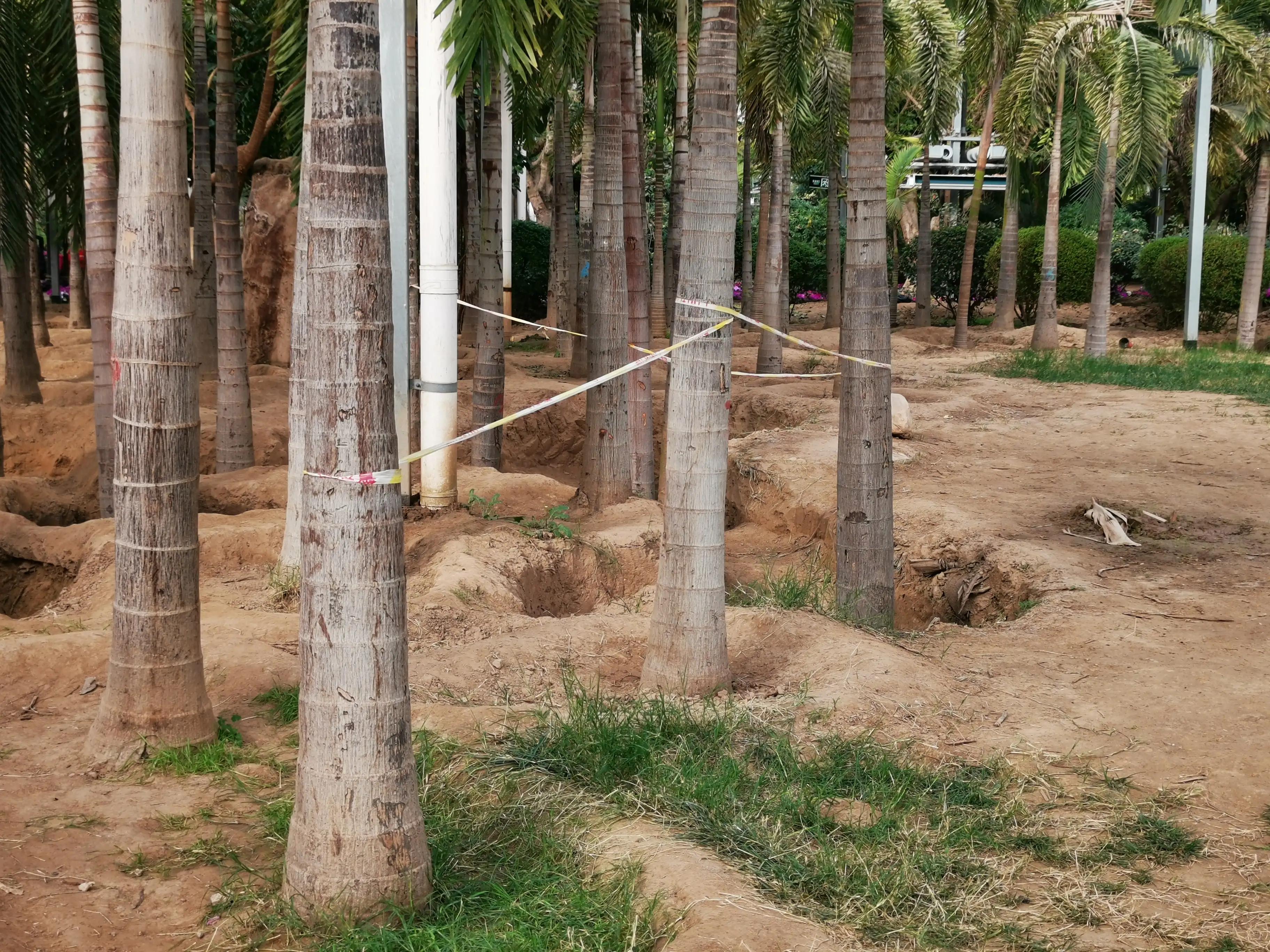 九天休闲谷最新消息,九天休闲谷门票