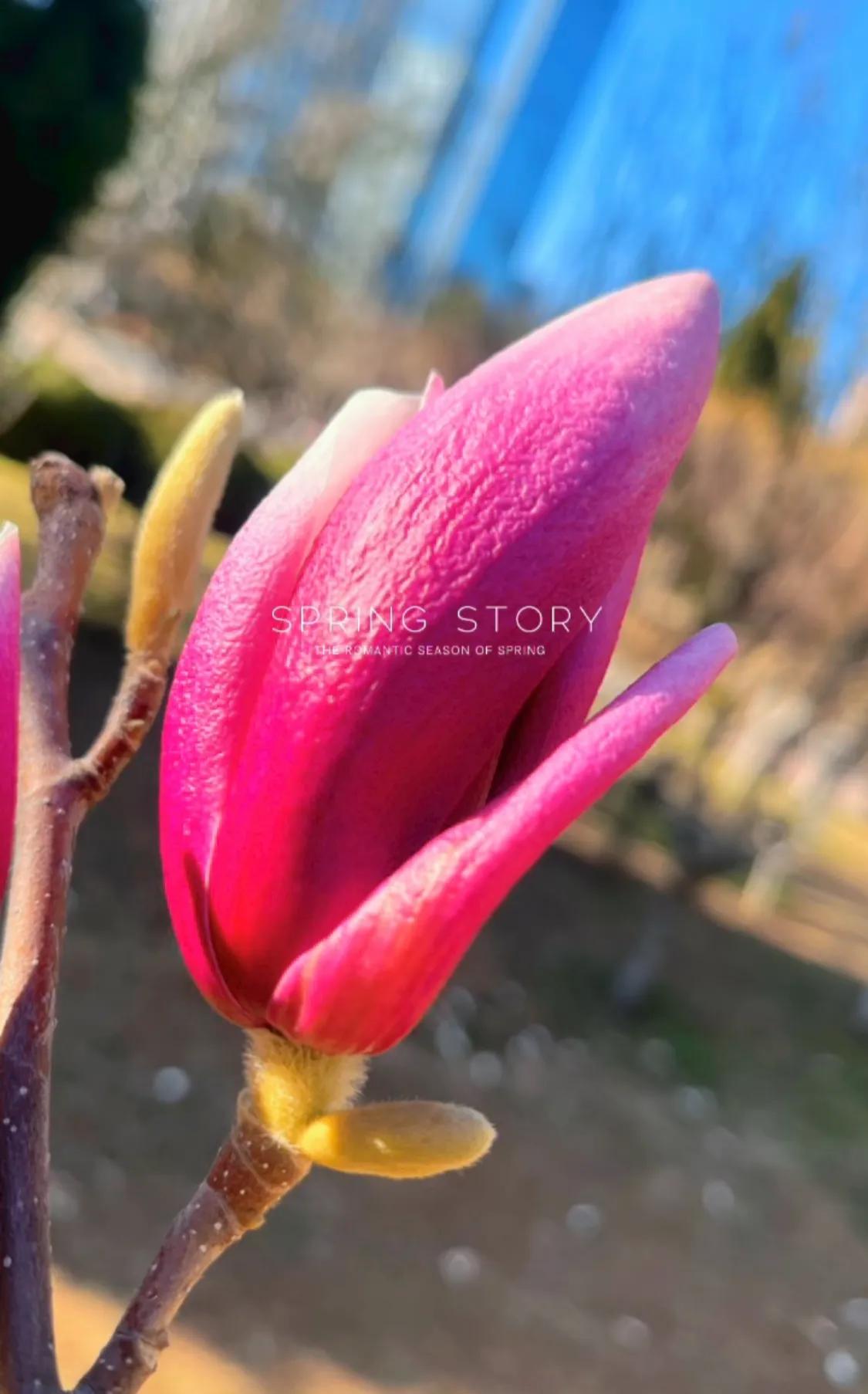 塑料姐妹花,塑料姐妹花电视剧大全