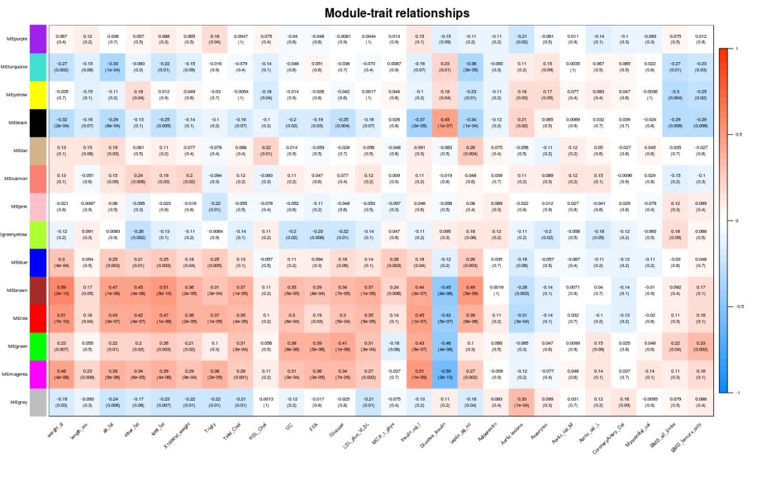 wcgna分析教程,wgcna分析一文读懂