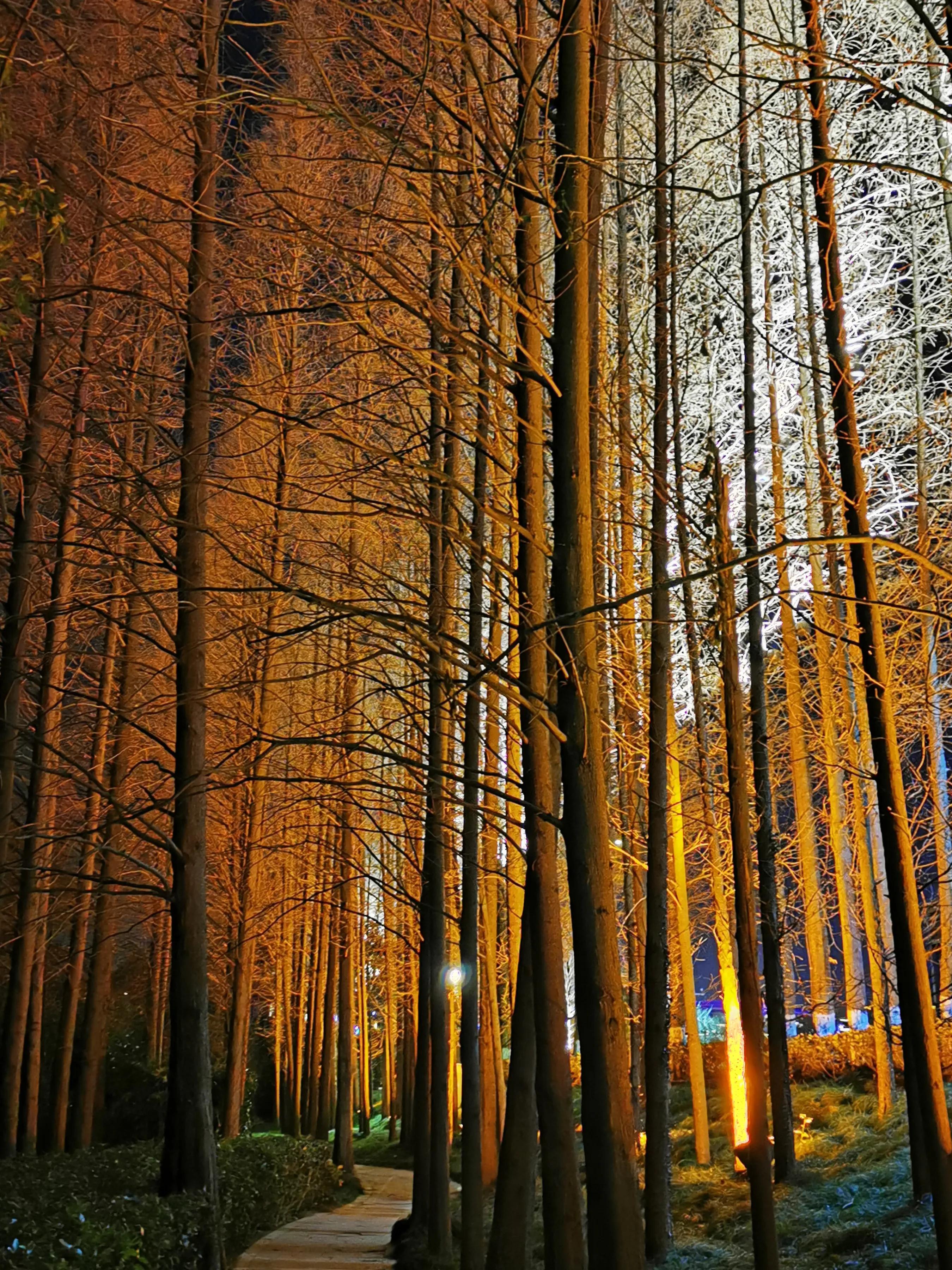 手拍世界近期作品,手拍世界完整版视频