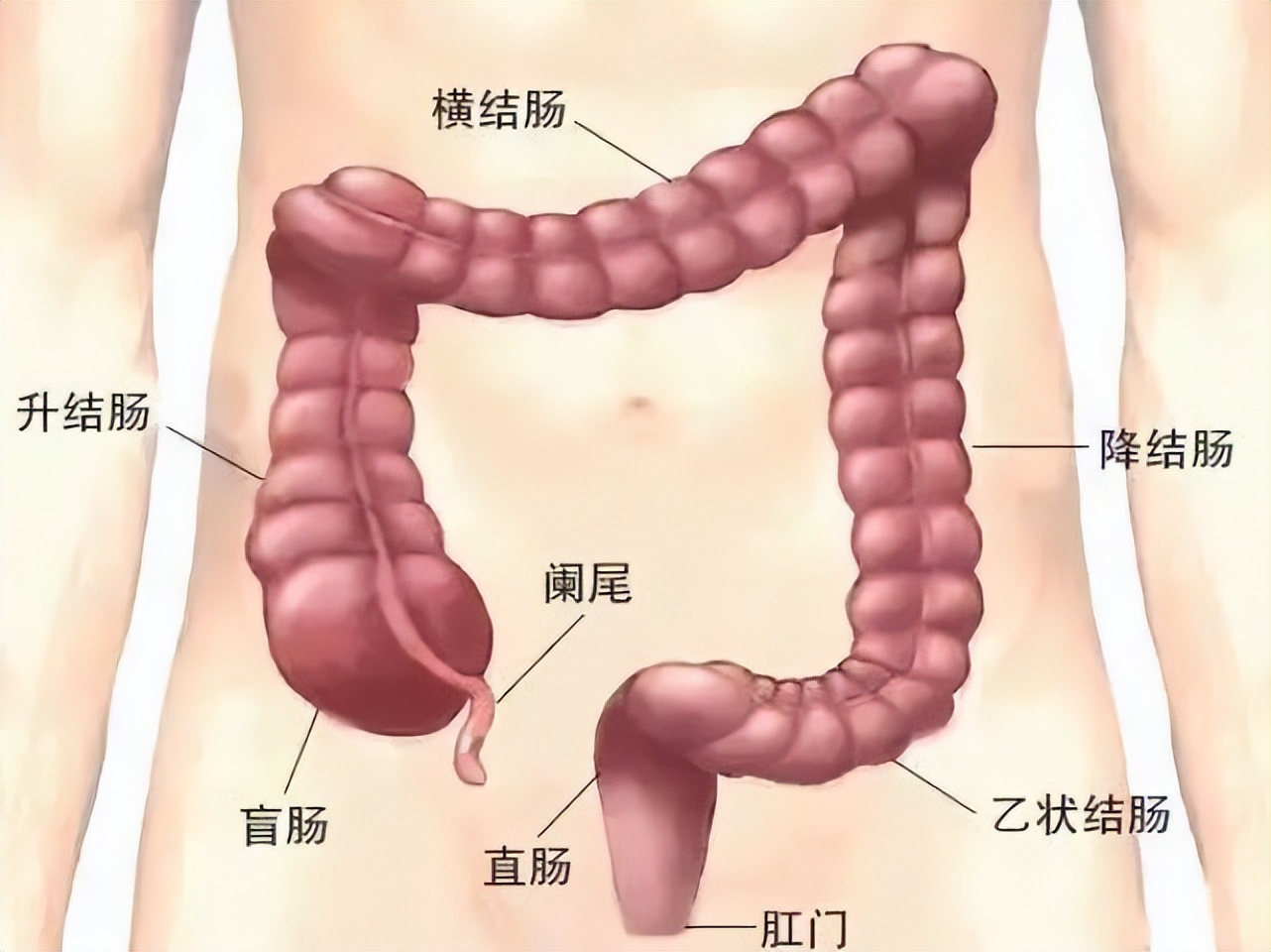 怕痛不做胃镜,怕疼不敢做小针刀