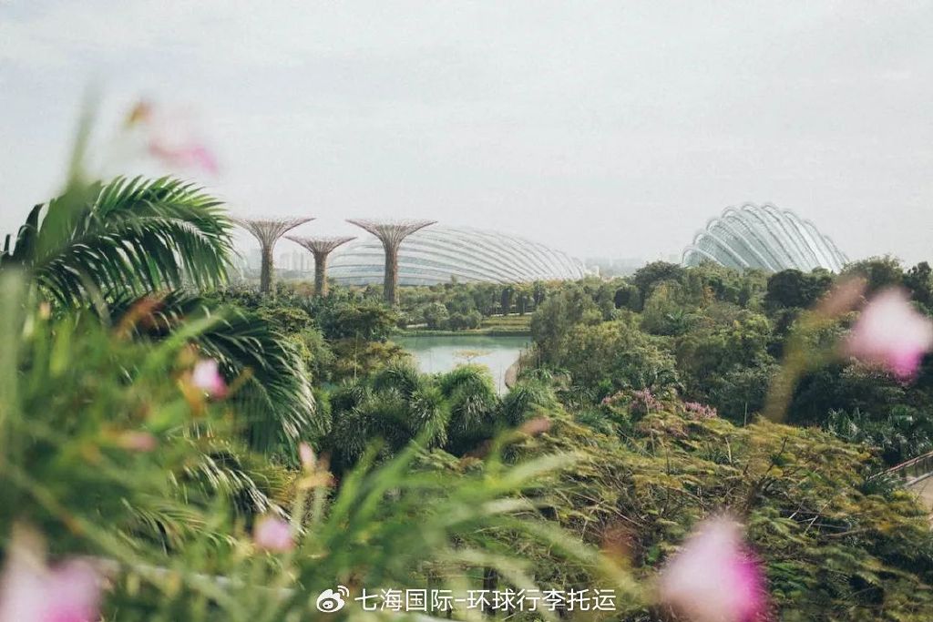 移民搬家到新加坡的5个理由!【七海国际】