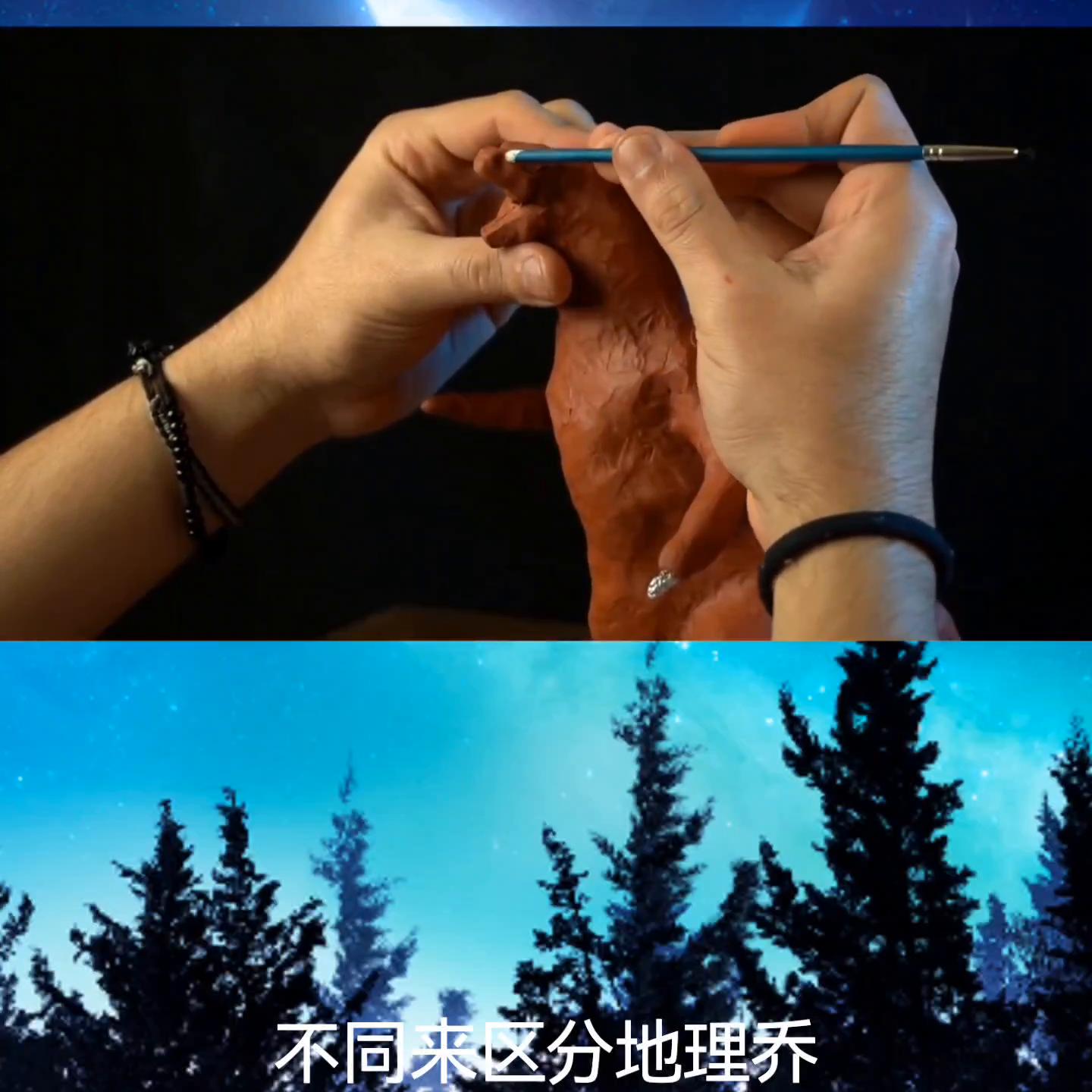 已完结的动漫,已完结小说完整版