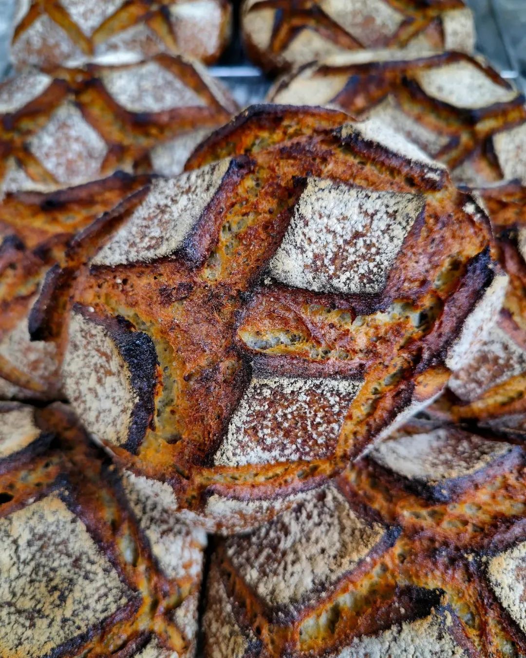 开业不到一年,法国著名面包店