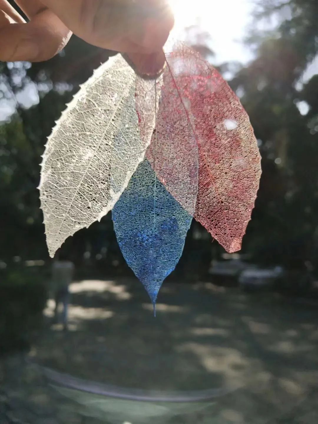 乌当区偏坡六月六民族风情节举行,偏坡旅游