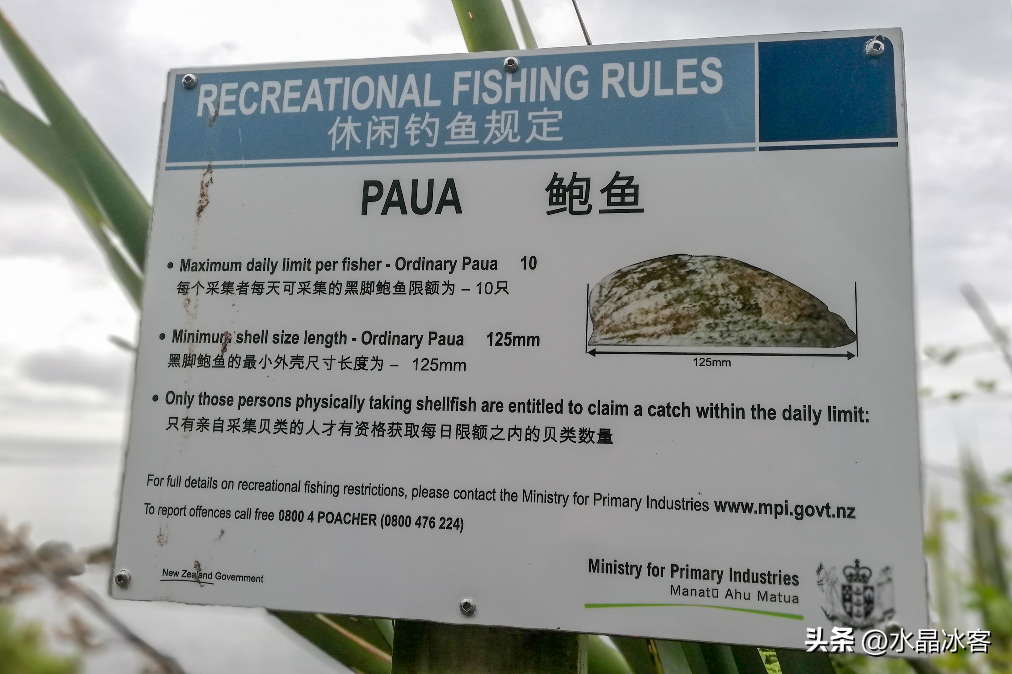 南岛新西兰之旅,新西兰之南岛