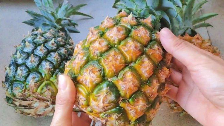 菠萝甜不甜非常甜不信可以尝一下,菠萝甜不甜怎么挑