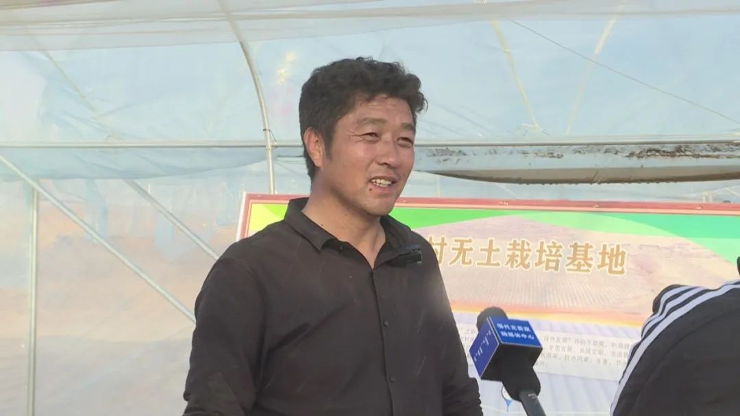 高质量发展看鄂尔多斯丨鄂托克前旗：无土栽培好“钱”景增产增效还节水