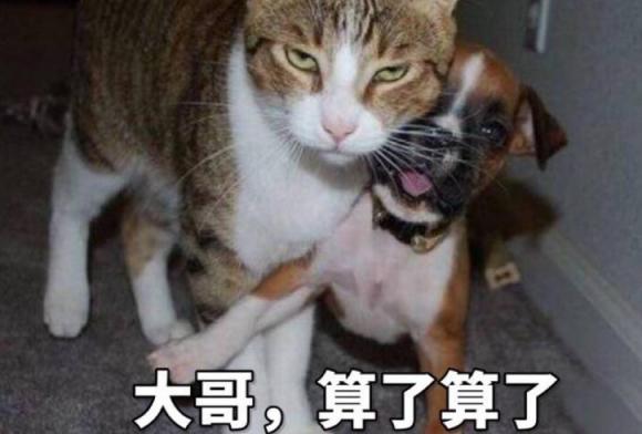 影视剧翻拍的各个版本对比,翻拍电视剧是成功还是翻车