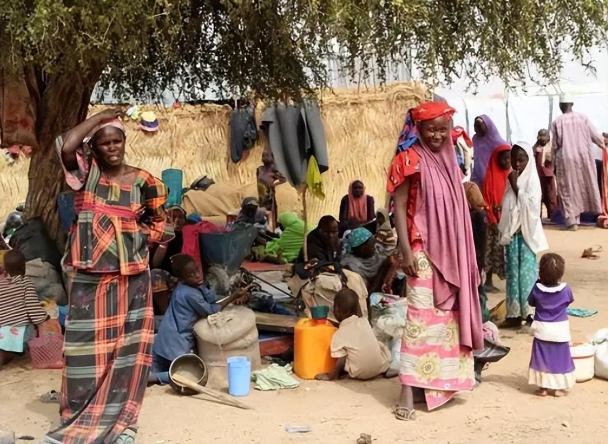 尼日利亚造人工厂：靠“播种”女性高价售卖婴儿钱，看的心惊胆颤