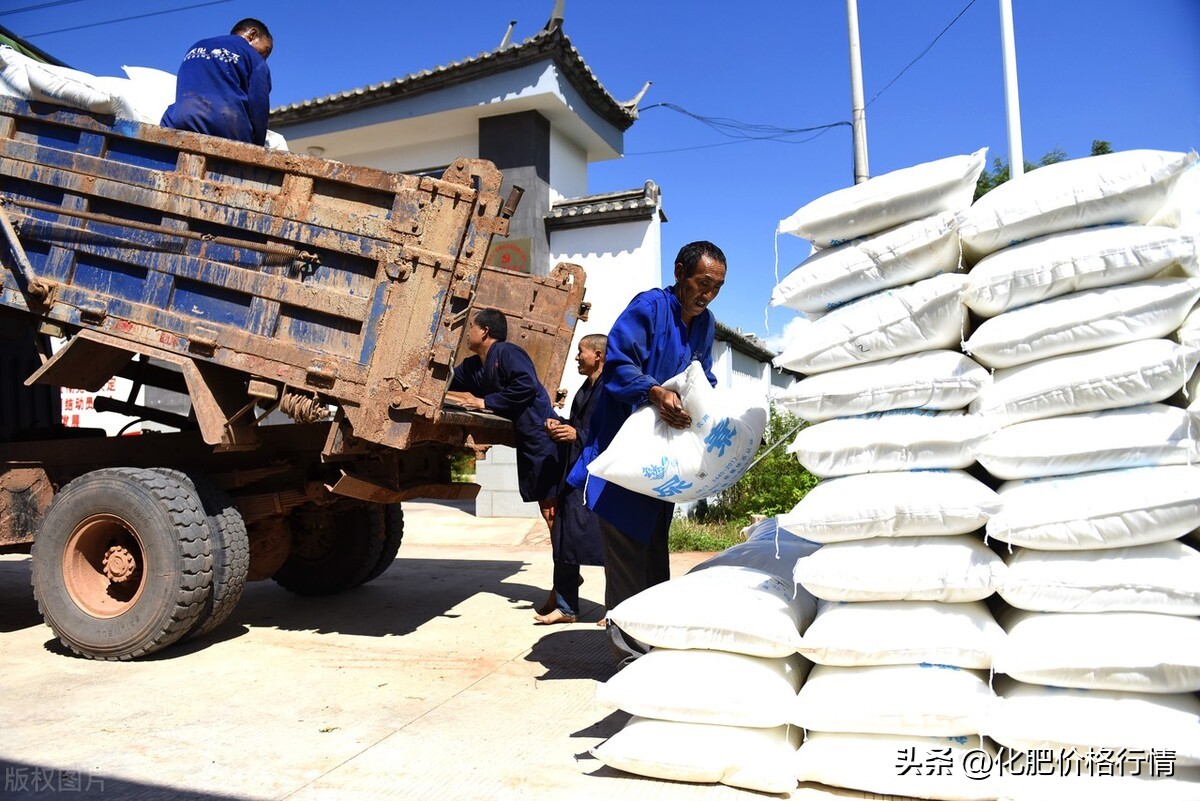 复合肥价格今日行情,12月11日最新磷钾复合肥价格行情