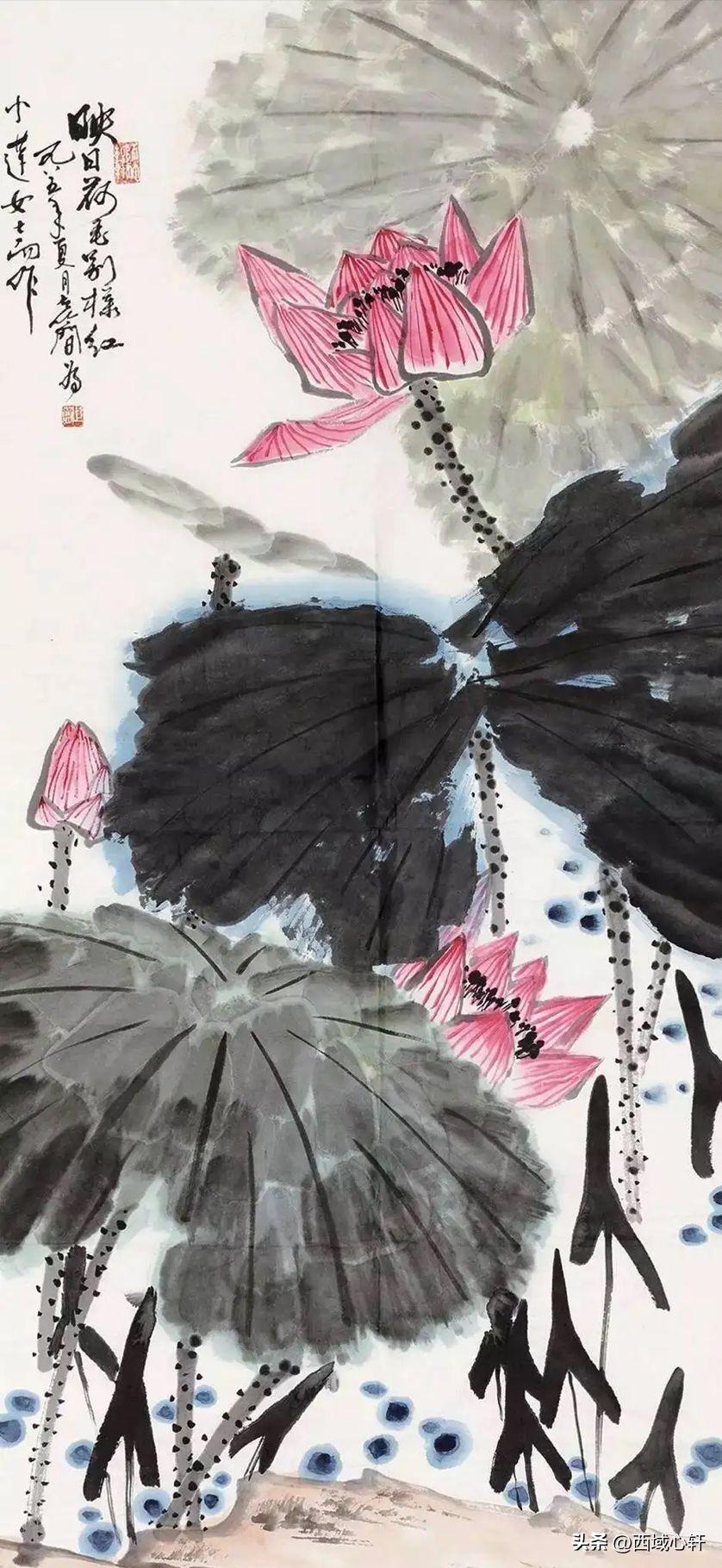 接天莲叶无穷碧映日荷花图片大全,莲叶无穷碧映日荷花别样红三幅图