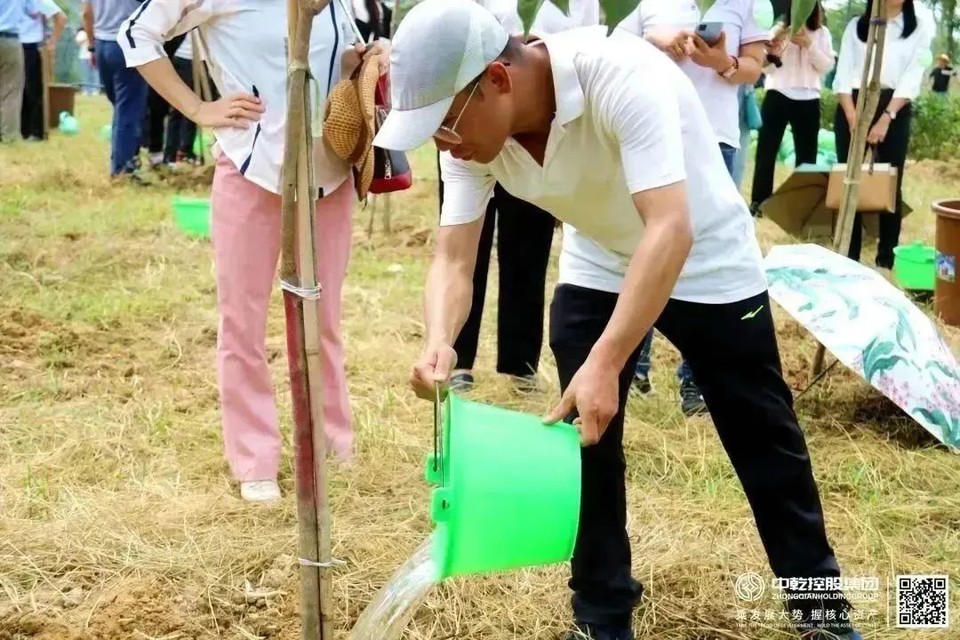 中乾控股集团积极助力绿美广东建设同植企业长青林
