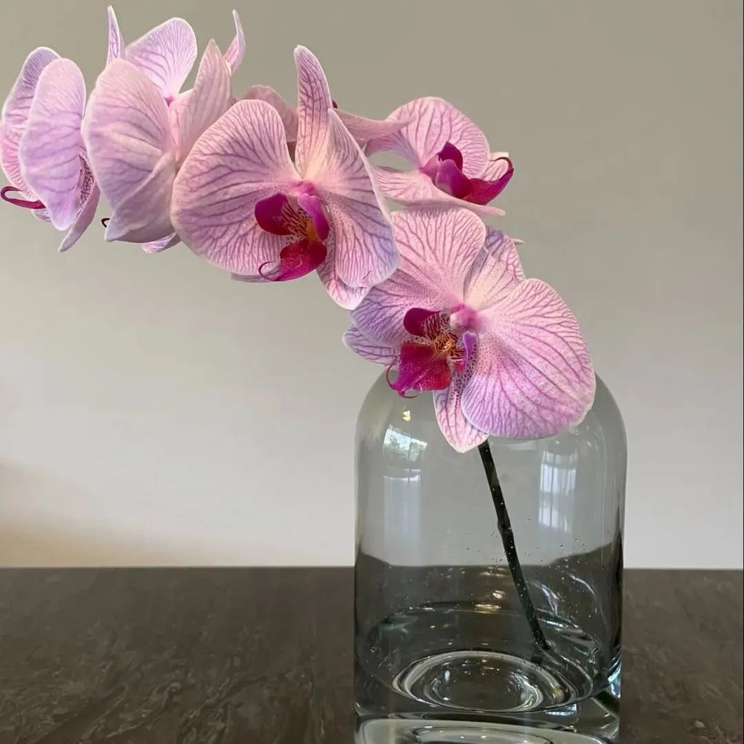 新手必看鲜花养护攻略,鲜花在水里能养几天会死