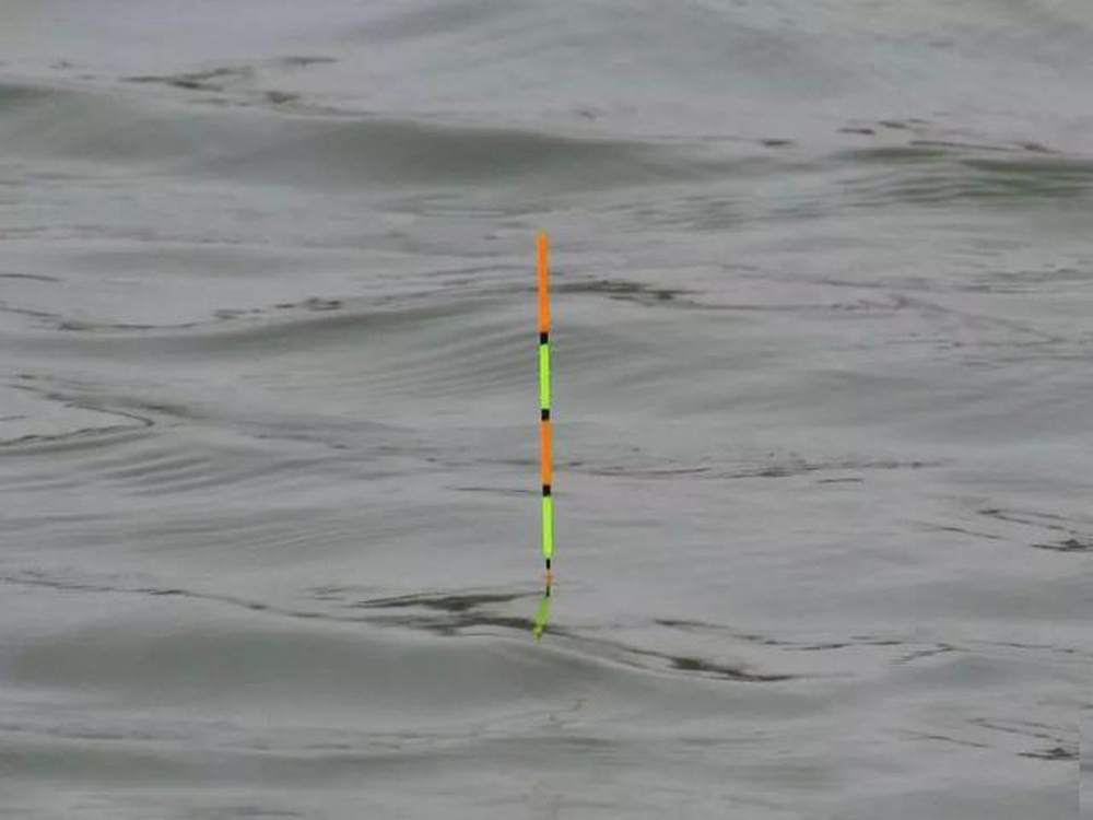 冬季钓鲫鱼选浮漂怎么调漂,矶竿滑漂冬天钓鲫鱼怎么选择浮漂