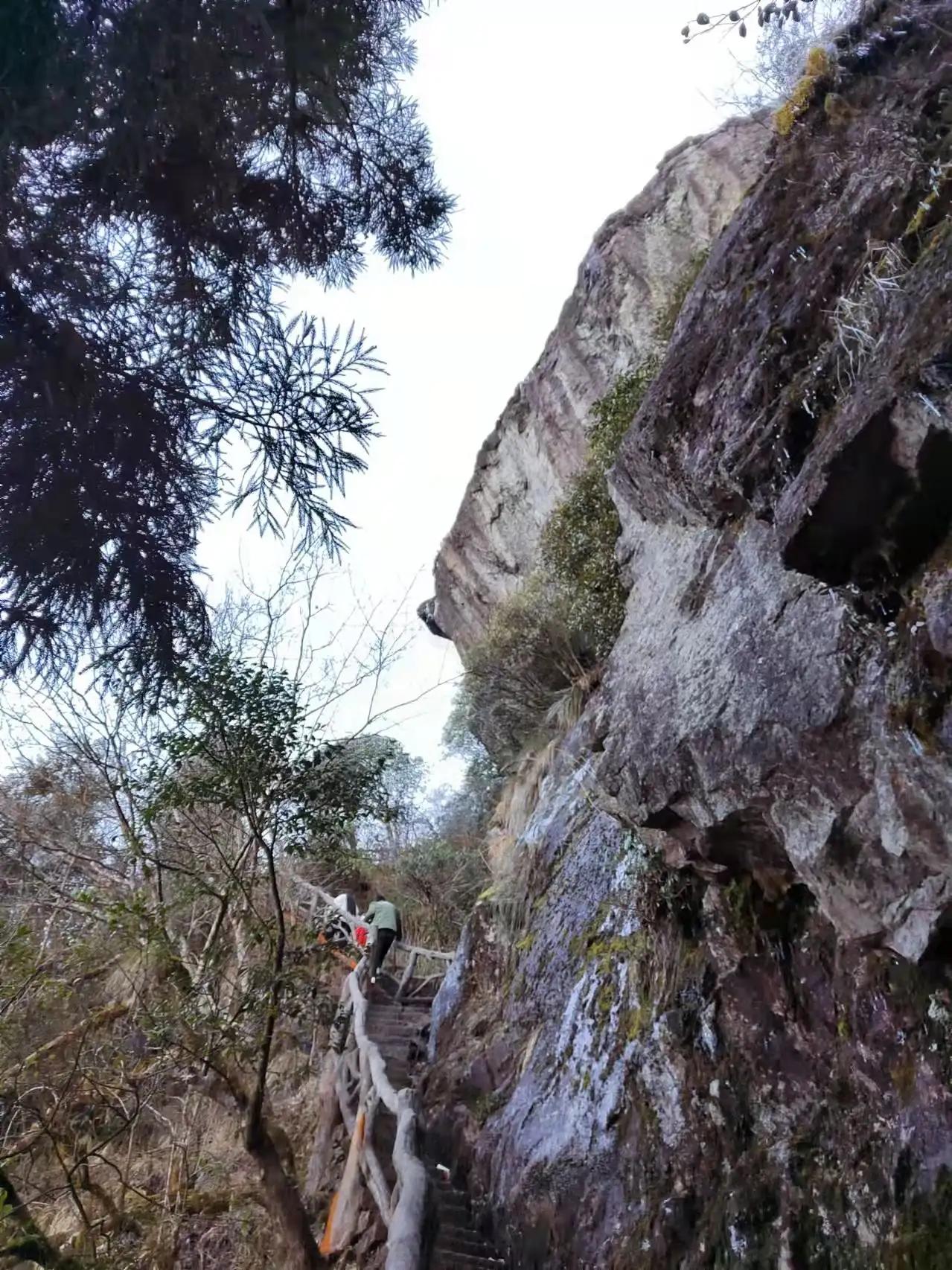 西子畔文学社0118期，酒入苍穹万事空，冰天雪地醉云松