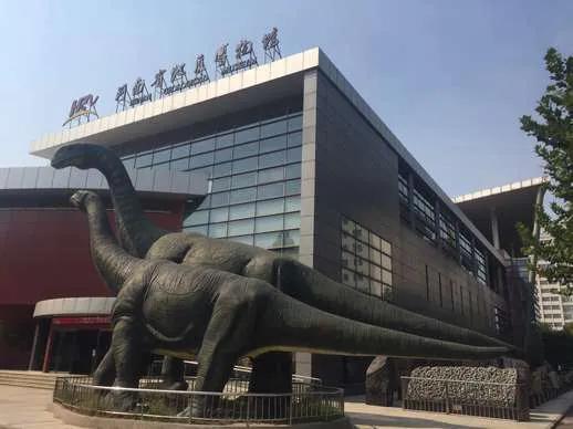 郑州博物馆哪个馆更值得去,河南博物院和郑州博物馆哪个好玩