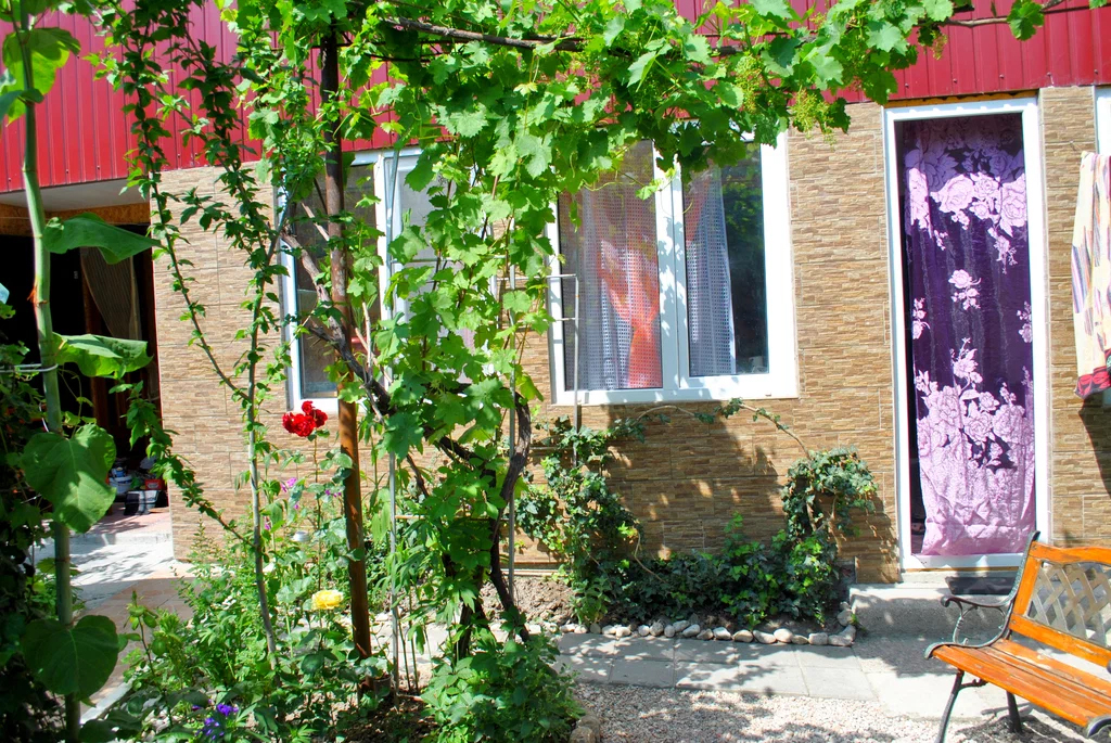 最舒服简单的农家小院,自建房三开间农家小院布局