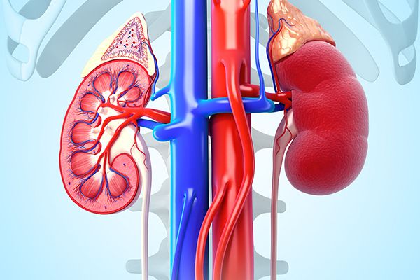 过敏性紫癜的并发症ppt,过敏性紫癜的并发症有脑出血吗