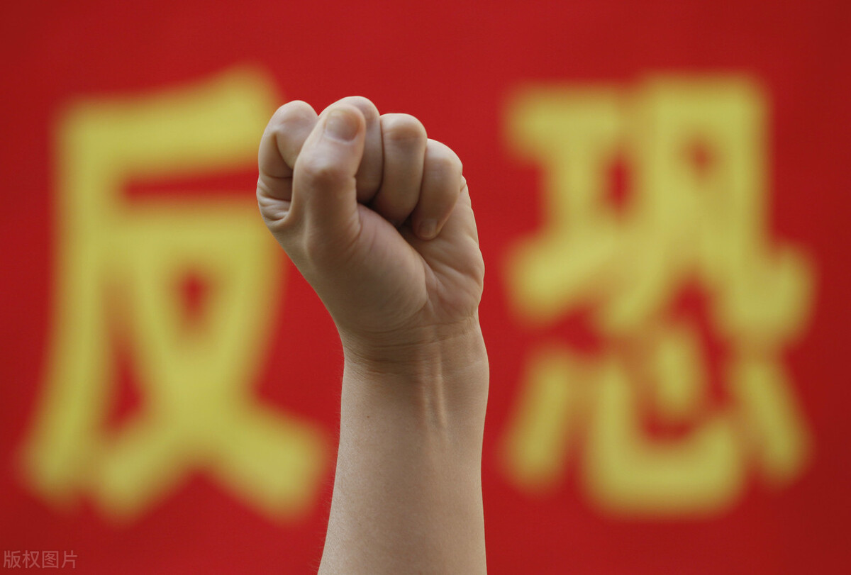 数字藏品合规评价准则全文,数字藏品政策分析