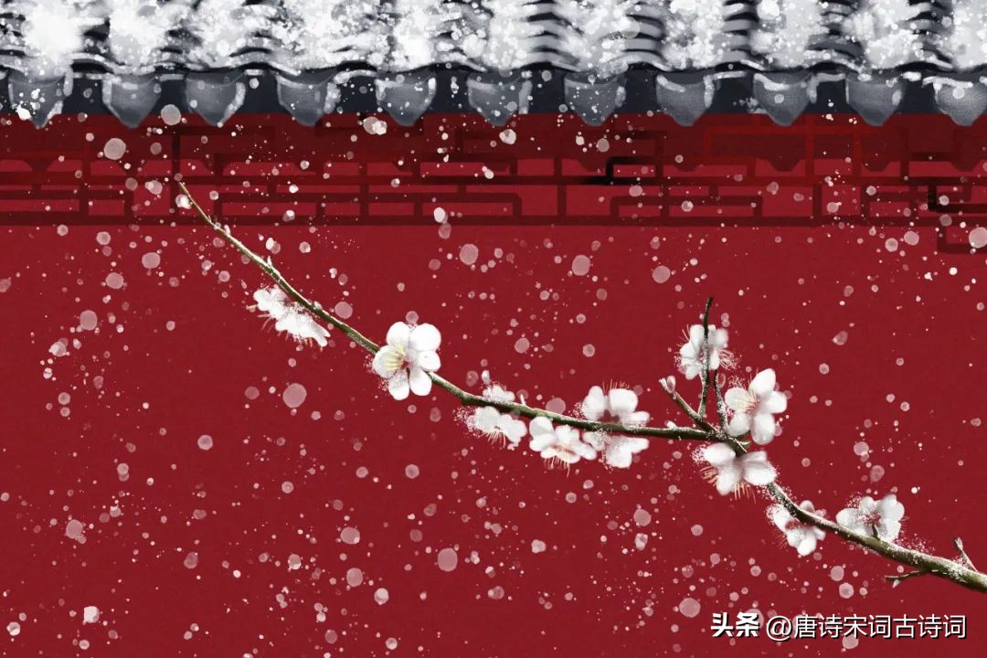 冬日十件奢侈事,冬日里的一件暖心事