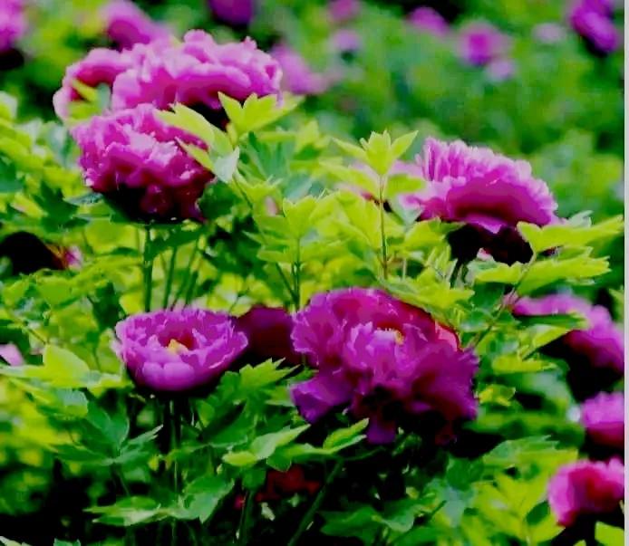 一等功老兵隐姓埋名36年采访,一等功退伍老兵慰问战士