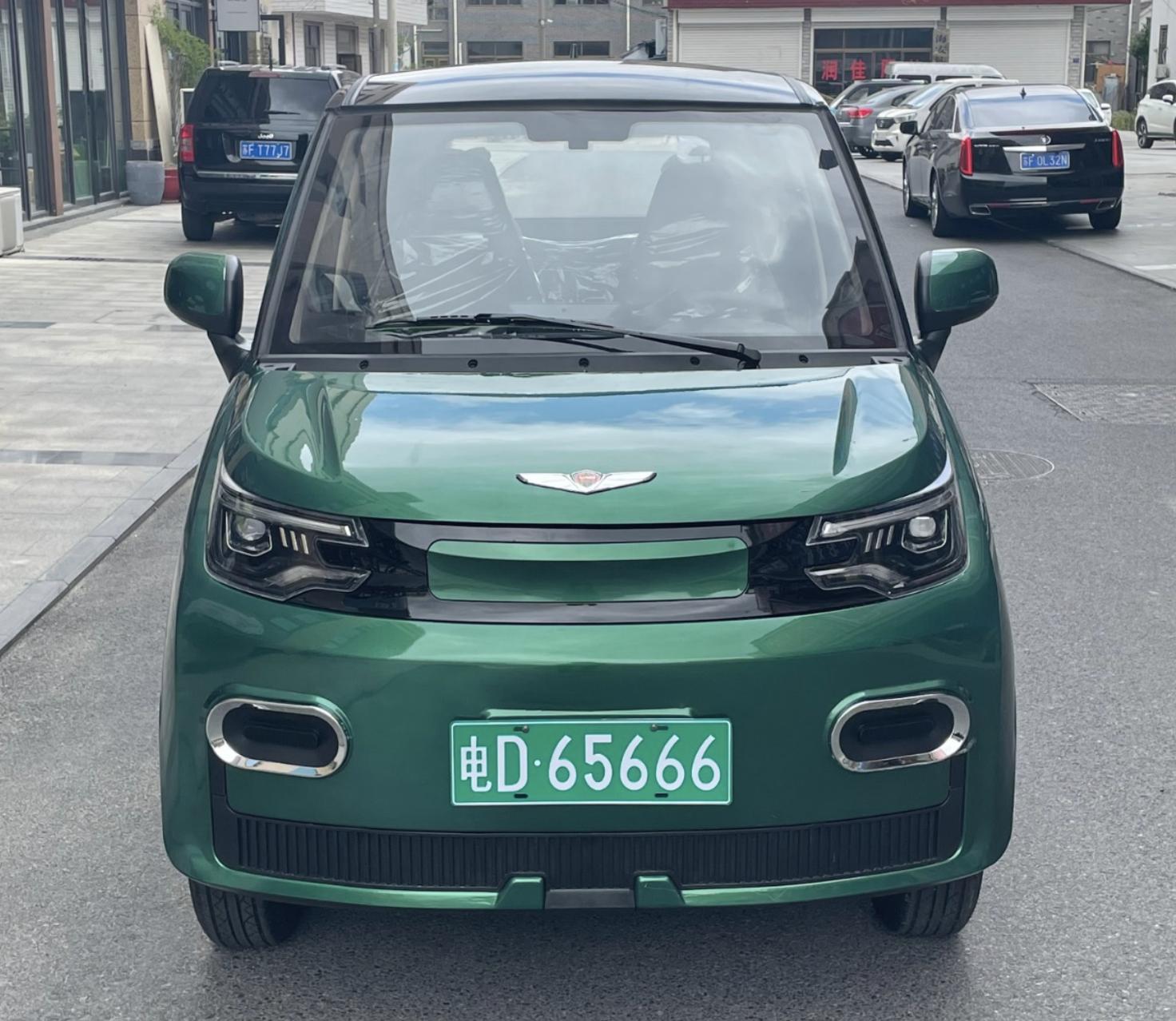 续航里程高时速又快的双座电动车,低速电动车最新车型