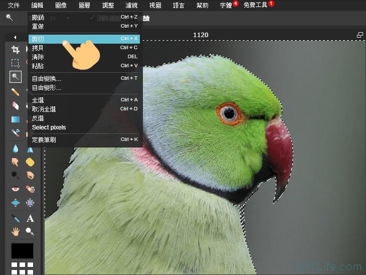 鍓槧鎬庝箞鍘婚櫎鐓х墖鑳屾櫙,wps濡備綍鍘婚櫎鐓х墖鑳屾櫙棰滆壊