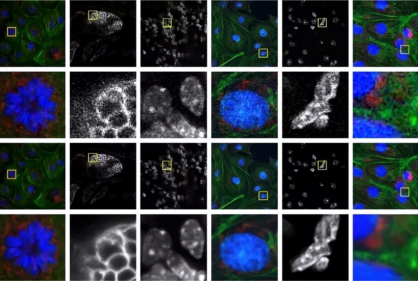 目标检测数据集采集,目标检测图像数据集