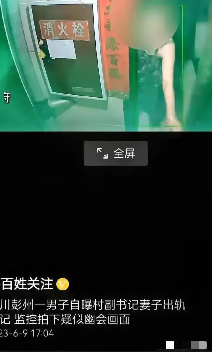 四川一村支书天天晚上找女副书记谈工作,把组织生活过成夫妻生活