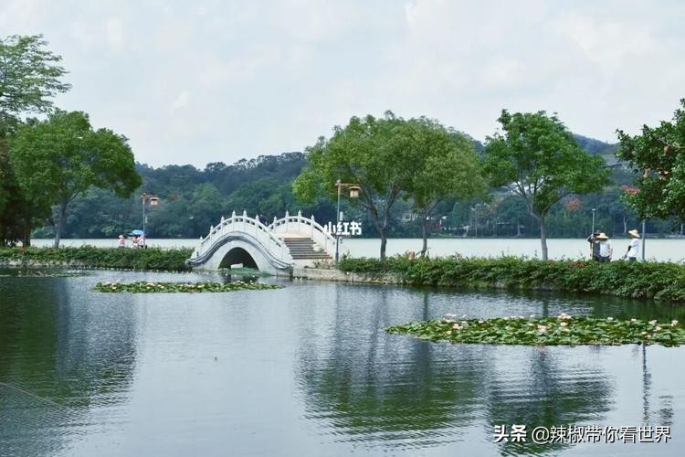 惠州市海岸线,惠州的海岸线