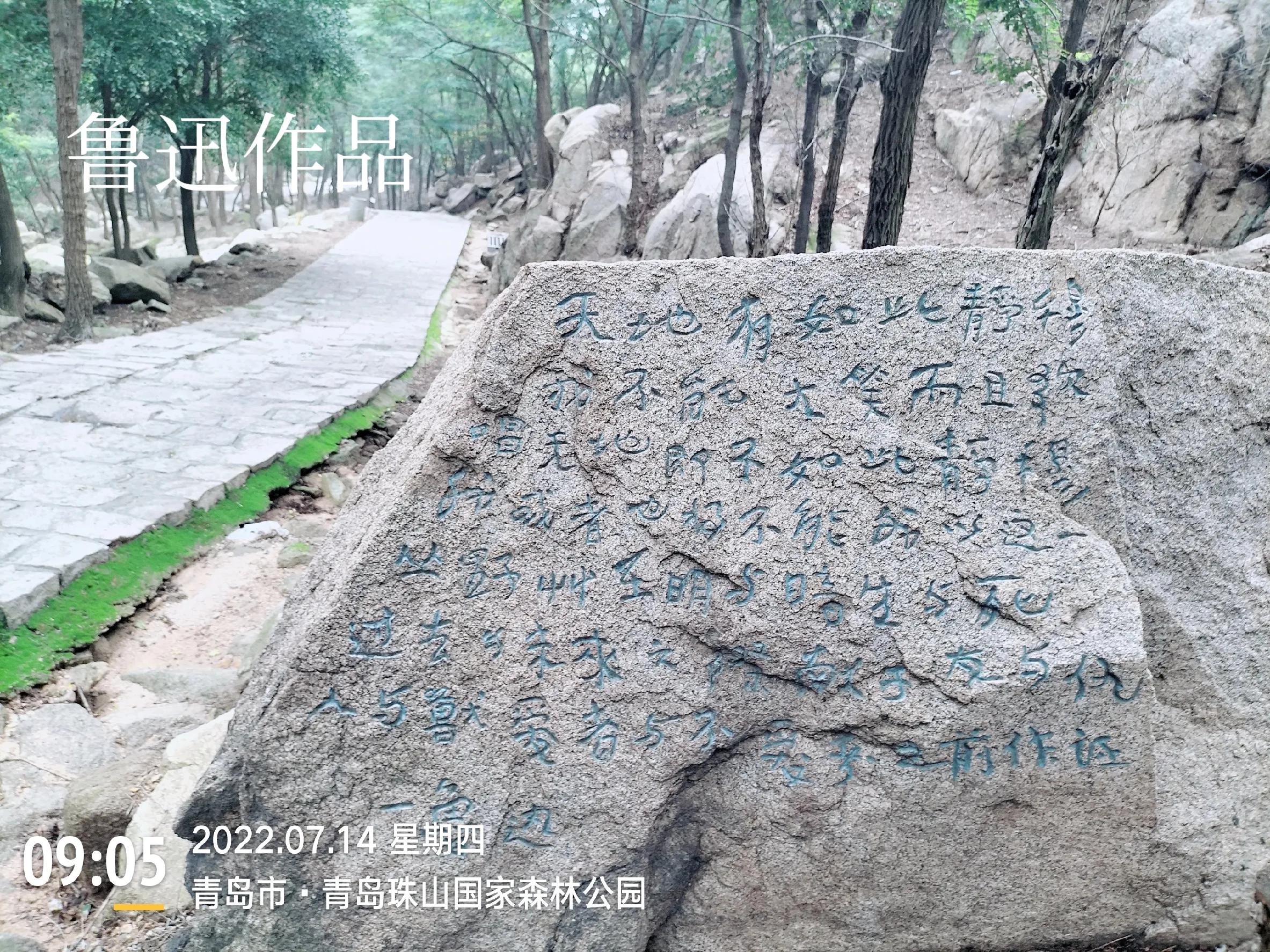 青岛珠山国家森林公园美景,黄岛旅游感受