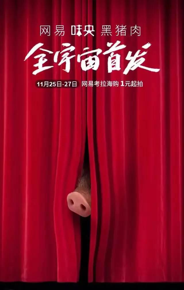 网易的养猪场现在怎么样了,网易养猪场现在怎么样了2020年