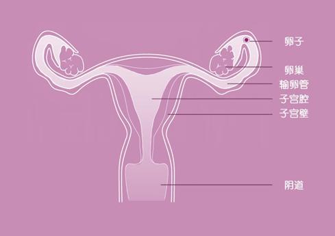 男子携妻小去水上乐园后感染“难言之隐”？夏天还能安全玩水吗？