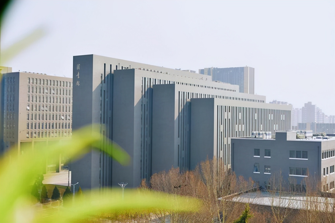 中国最宜居住的十大城市青岛,中国年轻人向往的十大城市青岛