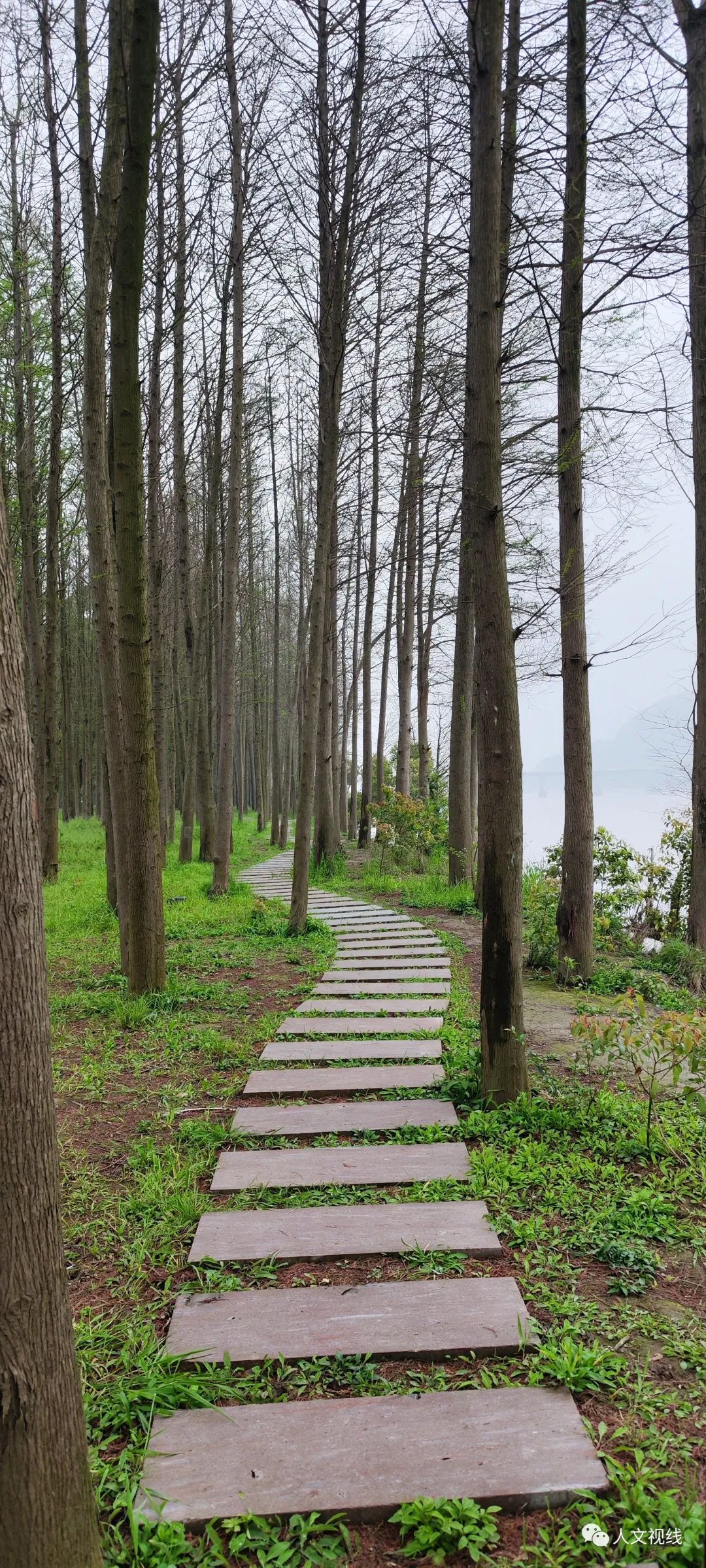 清明回乡,清明祭祖回乡记