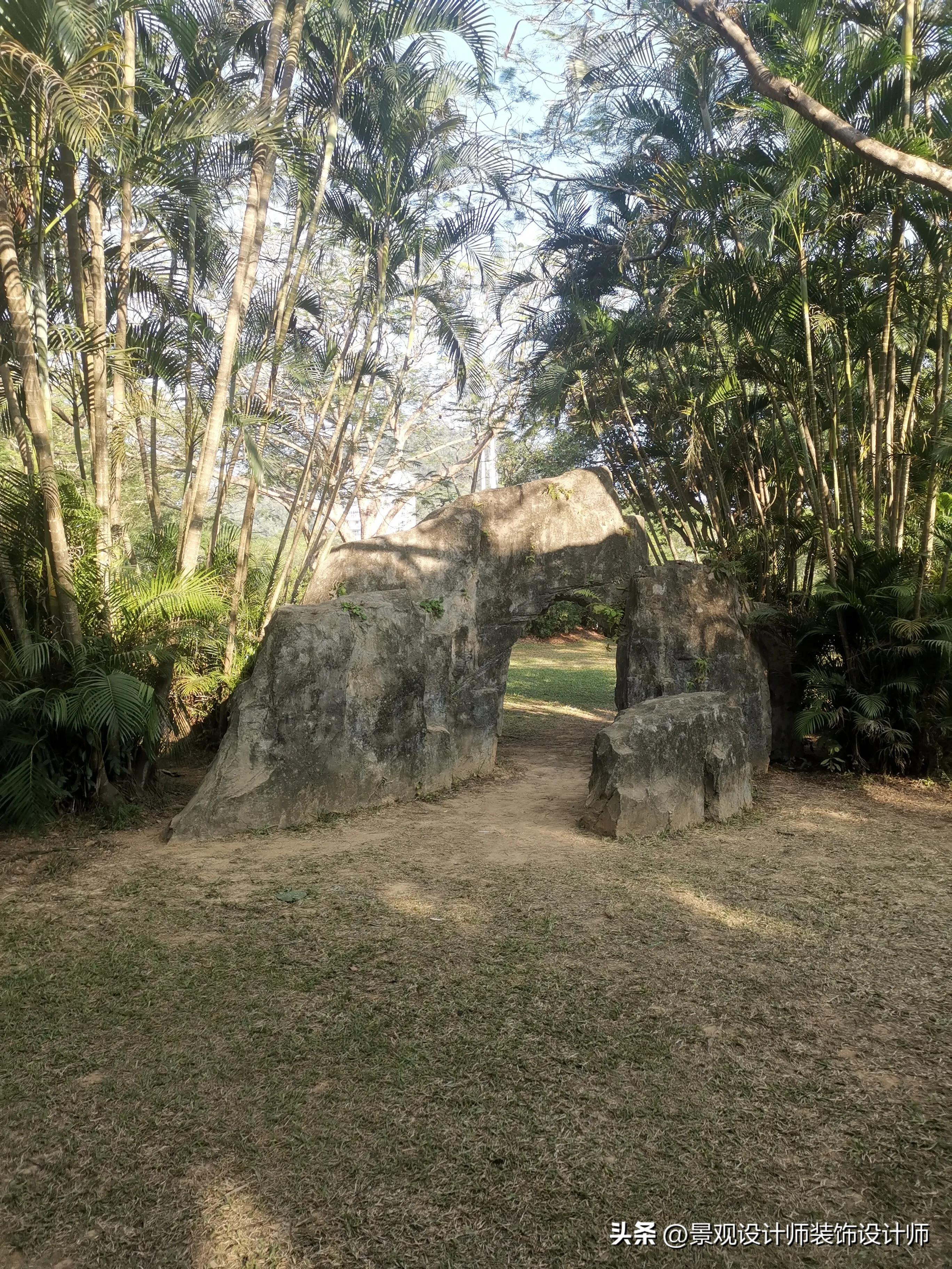 深圳市东湖公园广场舞,深圳市东湖公园收费标准